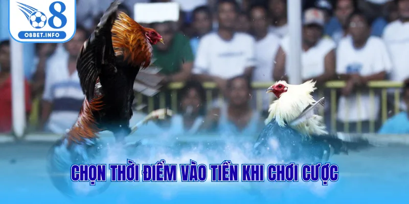 Chọn thời điểm vào tiền khi chơi cược
