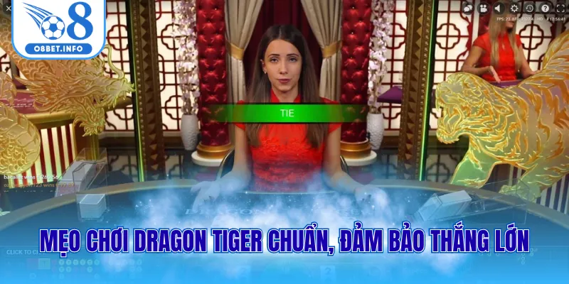Mẹo chơi dragon tiger chuẩn, đảm bảo thắng lớn