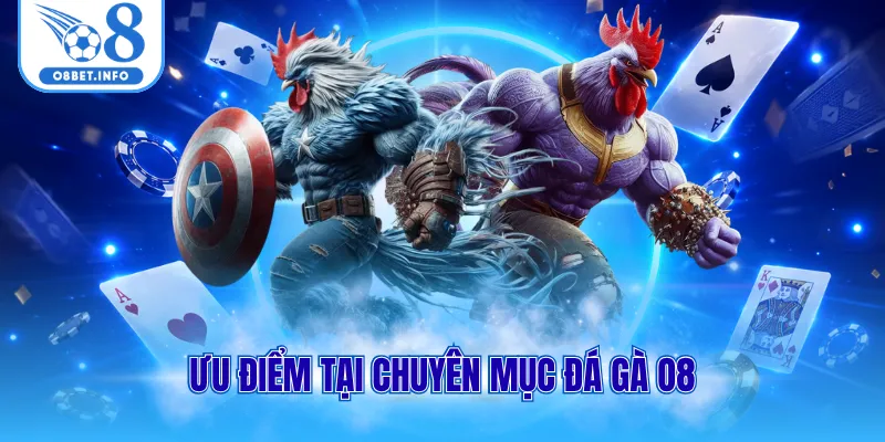 Ưu điểm tại chuyên mục đá gà O8