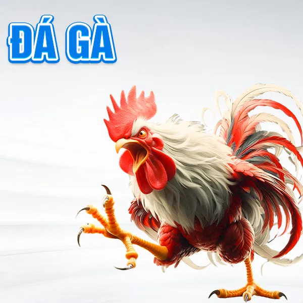 Đá gà